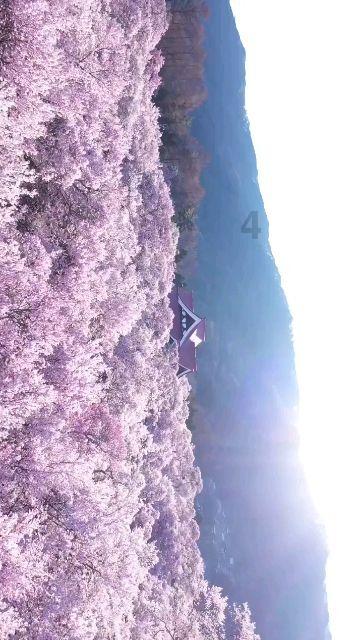 夏季热带海滩逃生